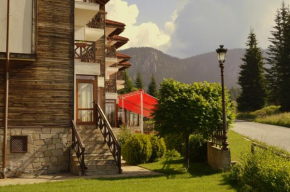 Northstar Ski Apartment in Mountain Lake Hotel Pamporovo